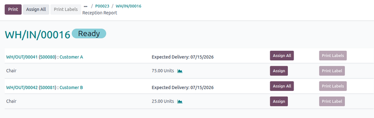 The Reception Report Page in Odoo.